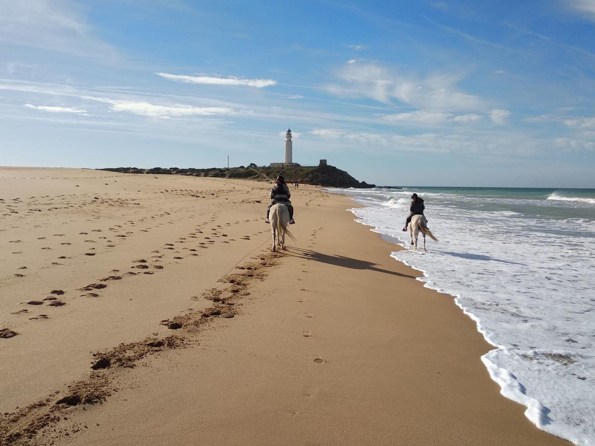 Viviendas Turisticas El Mero Zahora Exteriör bild